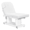 Luxi 4 Motors Medical Treatment Table - Image 2